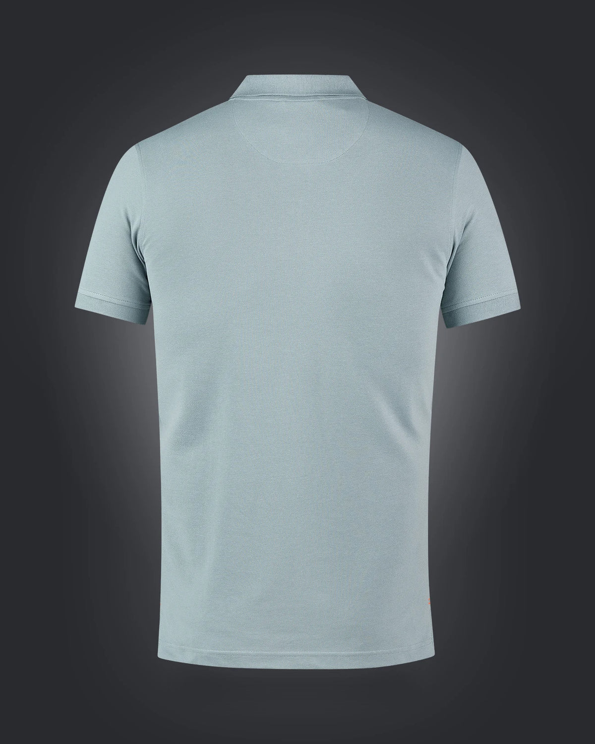Polo Shirt Sport, 1033, Dustymint