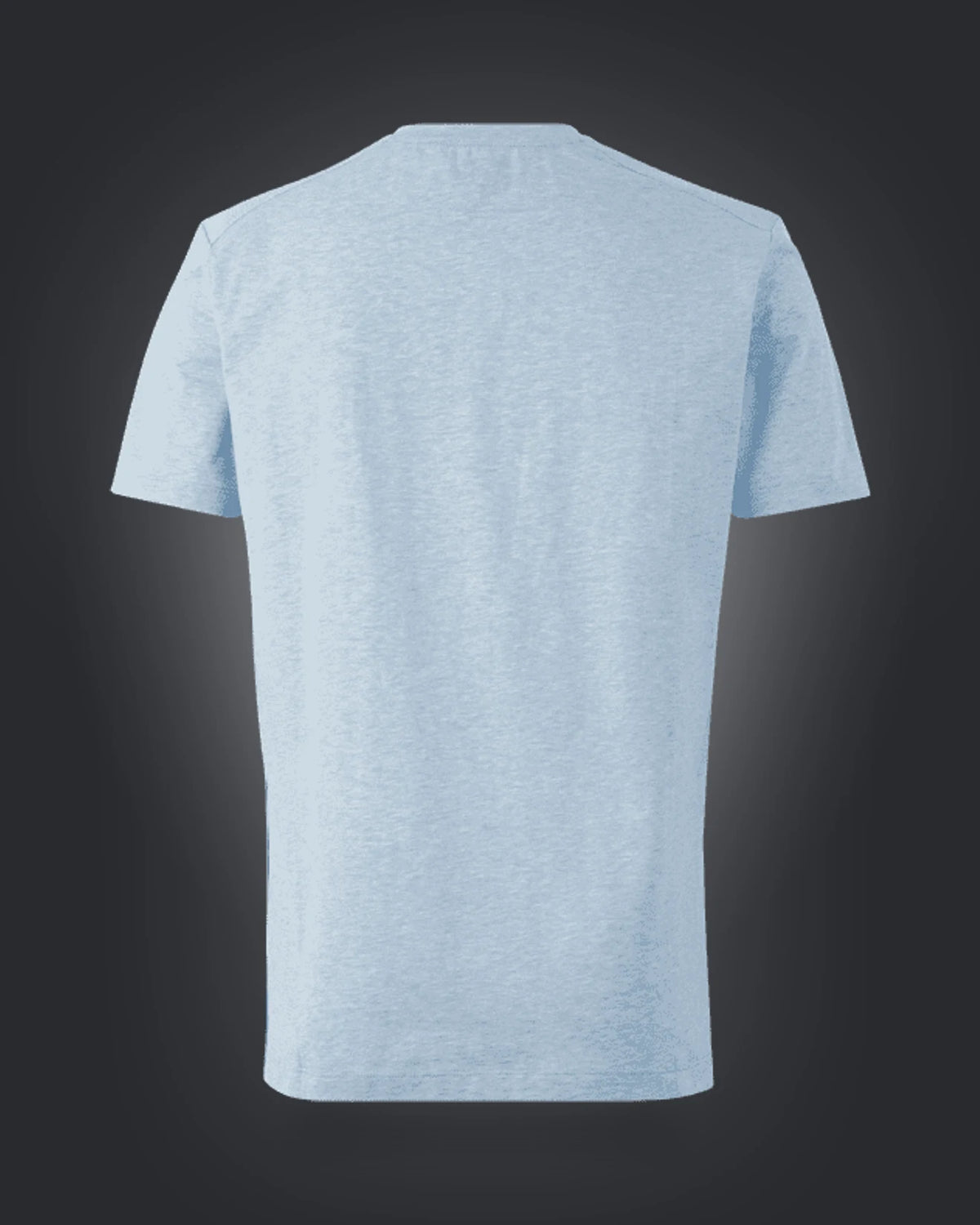 T-Shirt Men OTMSV, 972, Lightbluemelange