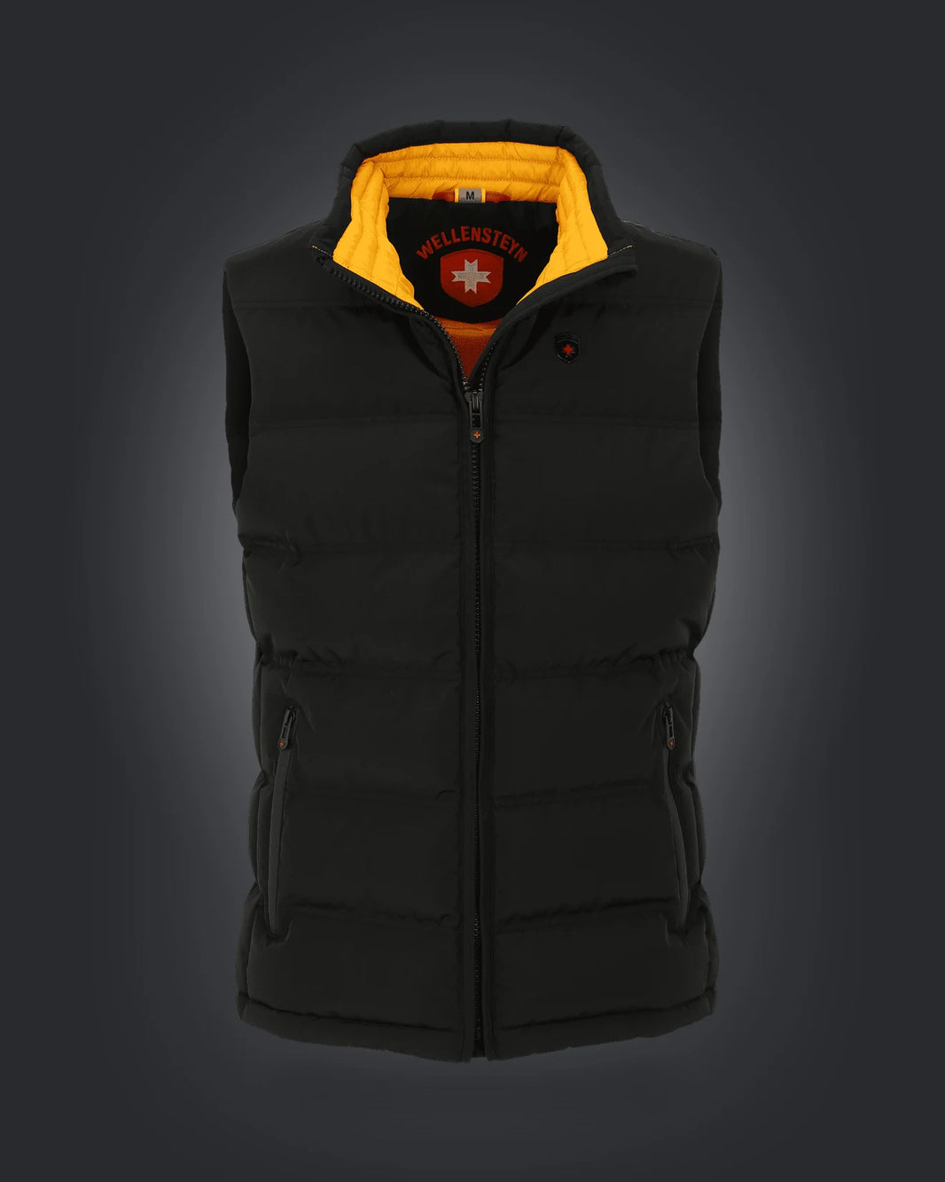 Snowdome Vest Men