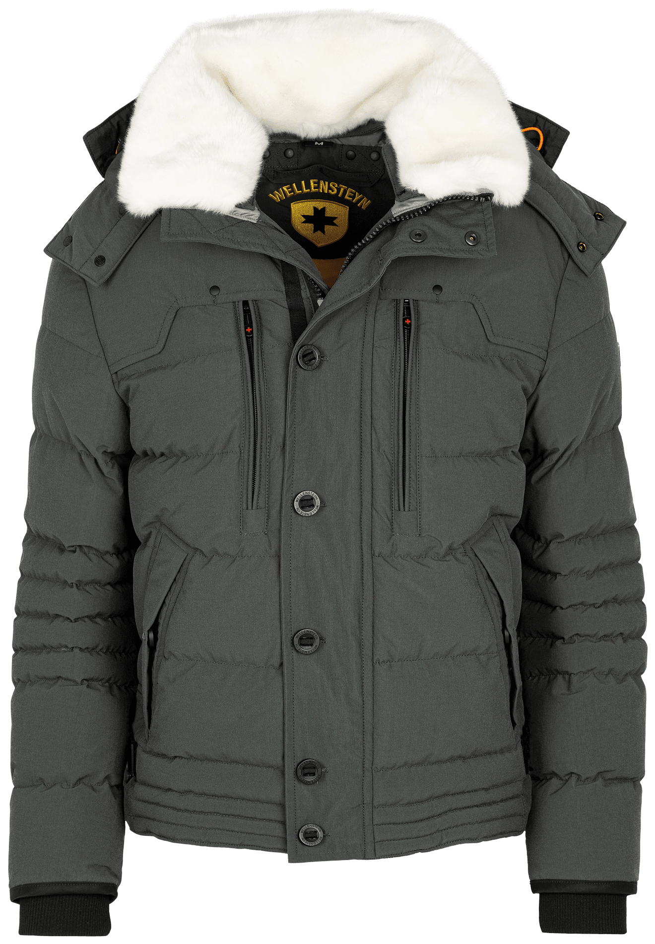 Starstream,886,Darkarmy