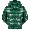 Blackbird Men Blouson, SuLaRiAirTec, Smaragdgreen